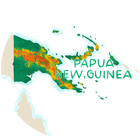 Papau New Guinea image