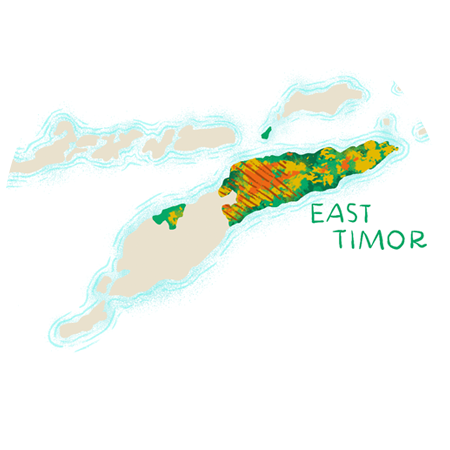 Map of East Timor