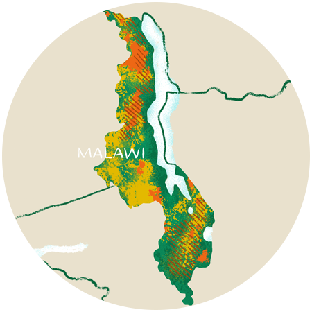 Malawi image