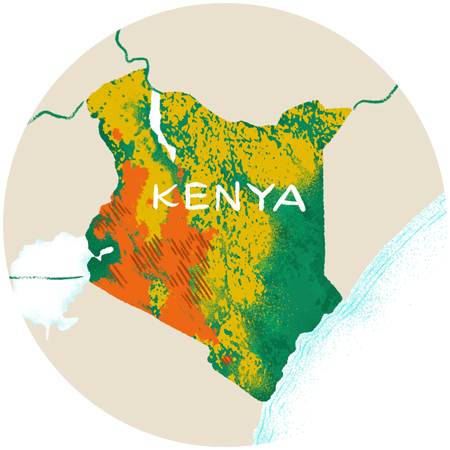 Kenya image