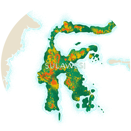 Sulawesi image