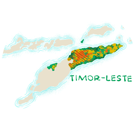 Timor-Leste image