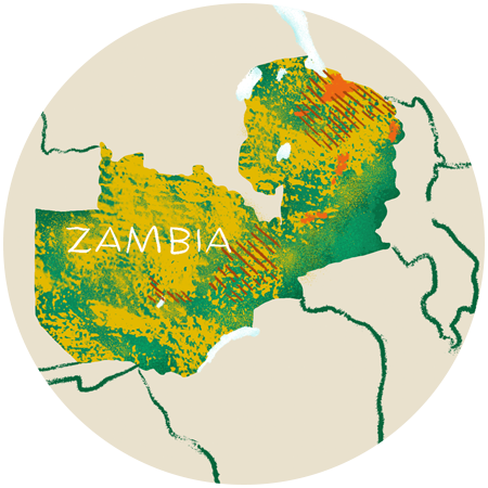 Zambia