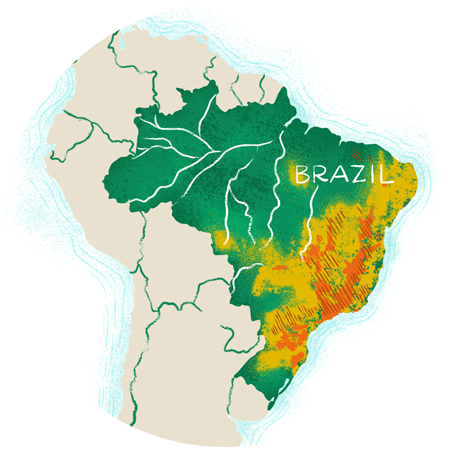 Brazil map thumbnail